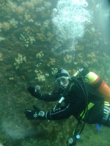 With the hard work over, time for a fun dive.