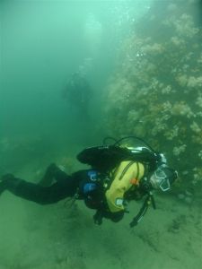 Trainees get open water experience